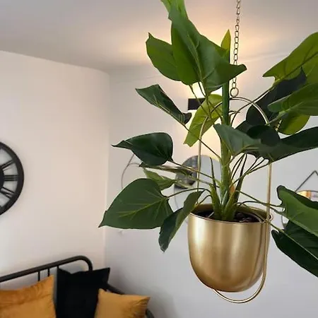 Apartamento Cosy - 4 Personnes *